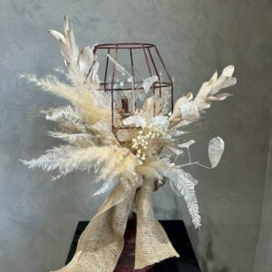 ルナリア・イタリアンルスカス・パンパス