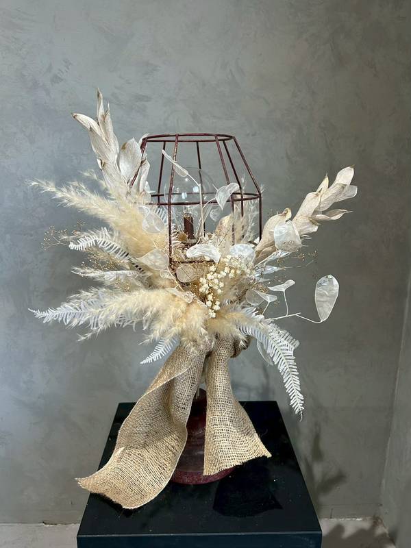 ルナリア・イタリアンルスカス・パンパス