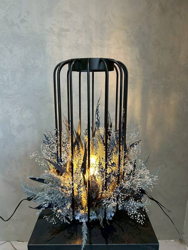 ウィローユーカリ・ストーベ・フェザーパンパス