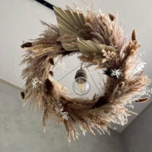 ススキ・パームスペード・ラグラス