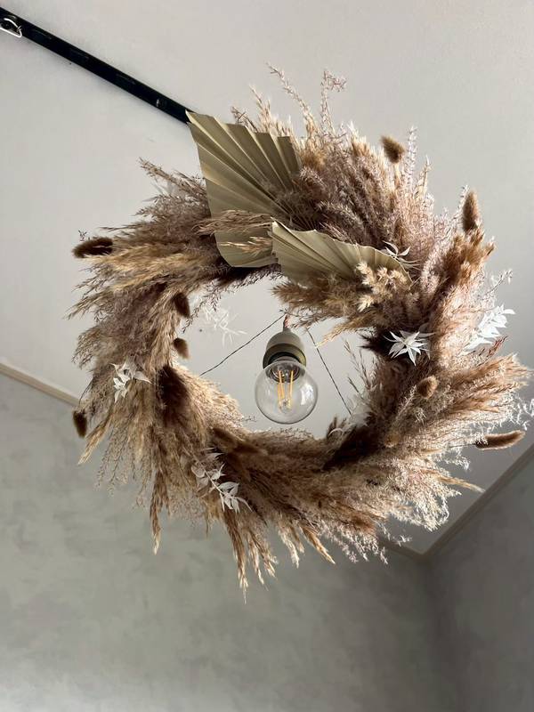 ススキ・パームスペード・ラグラス