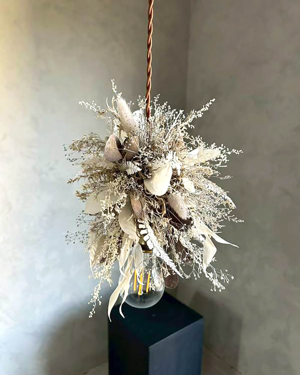 ポプルス・ラグラス・ルスカス