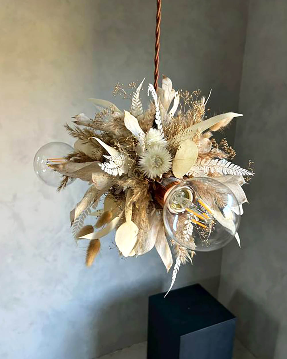 ウィローユーカリ・シルバーデイジー・ラグラス