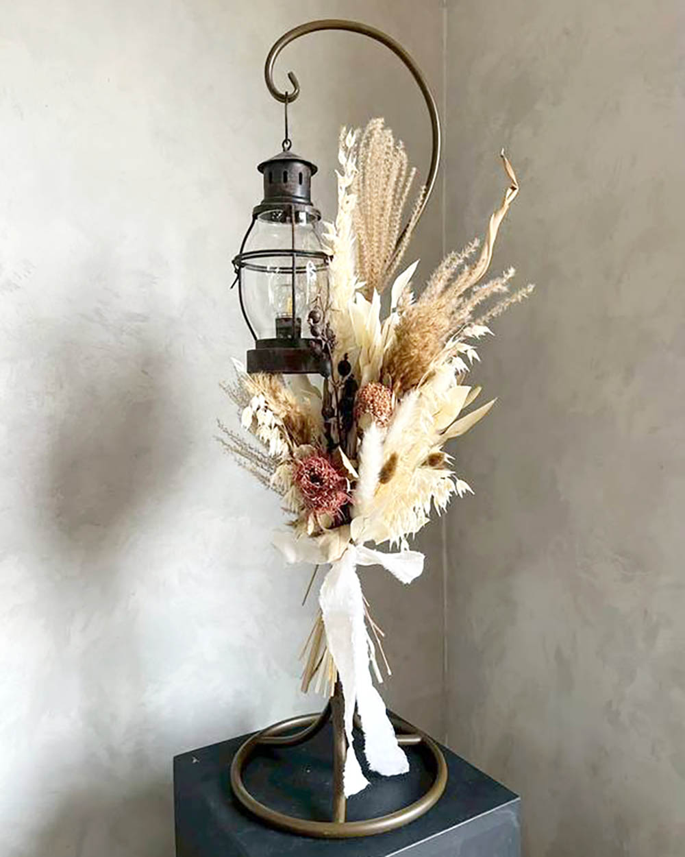 ストレチアアリーフ・バンクシアココシネア・アベナ