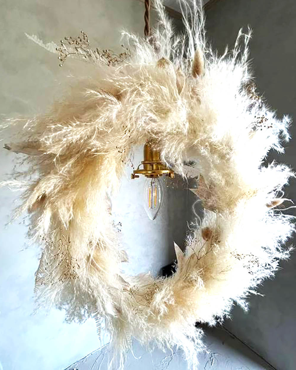 ビックテールリード・ラグラス・ルスカス