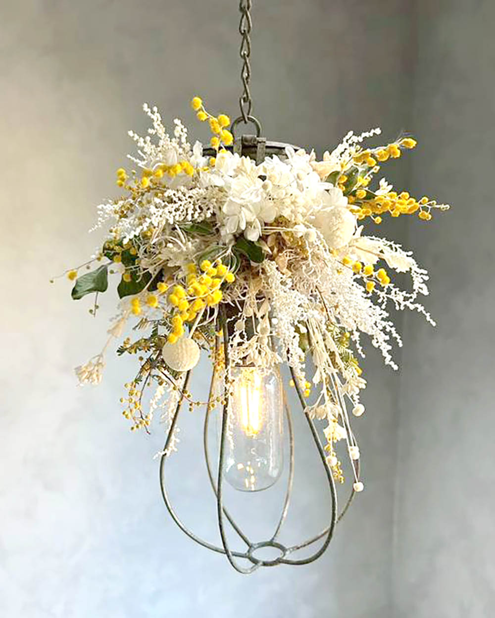 ミモザ・ビリーボタン・ストーベ