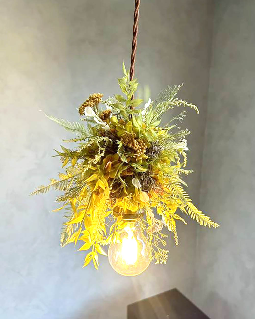 ローナス・ビスコフラワー・山シダ